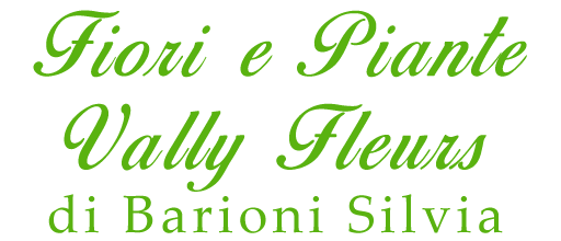 Vally Fleurs di Barioni Silvia
