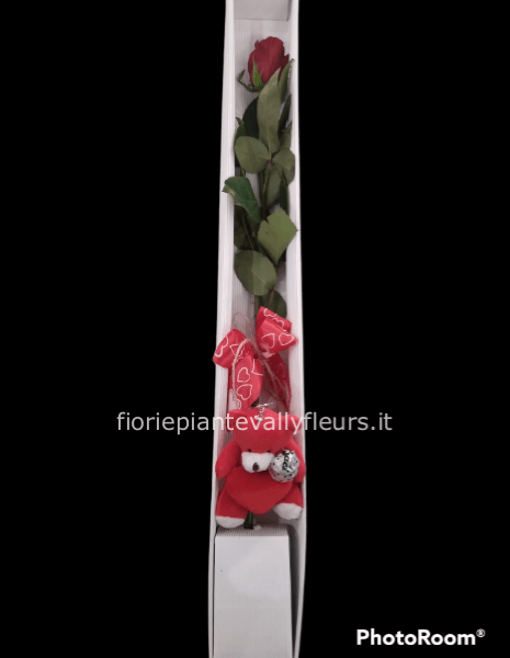 Rosa rossa in scatola con pupazzo e cioccolatino